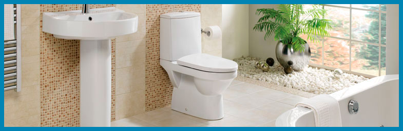 toilet-installation.jpg